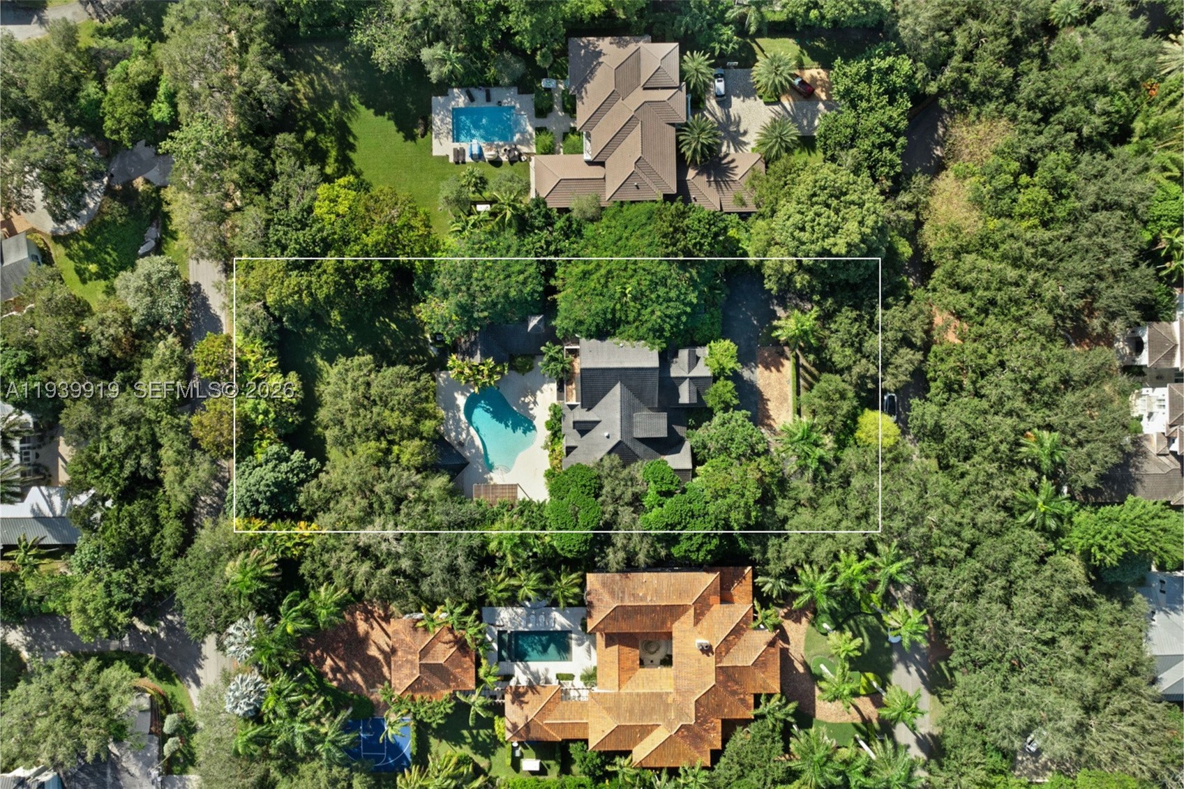 Pinecrest photo 4
