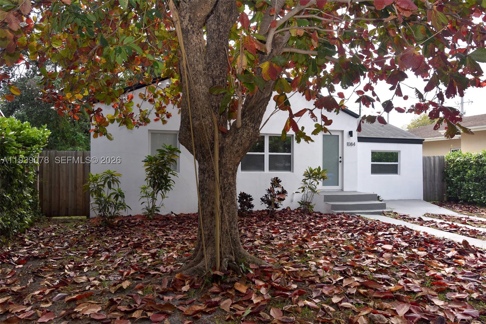 Miami photo 3