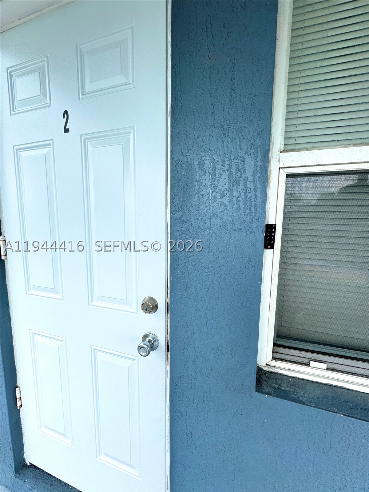 Miami photo 5