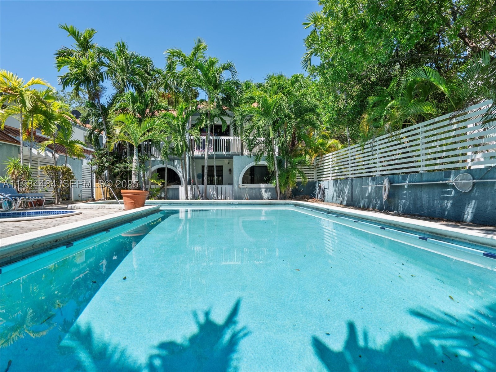 Miami photo 2