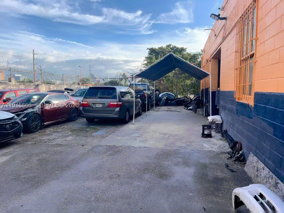 Miami photo 4