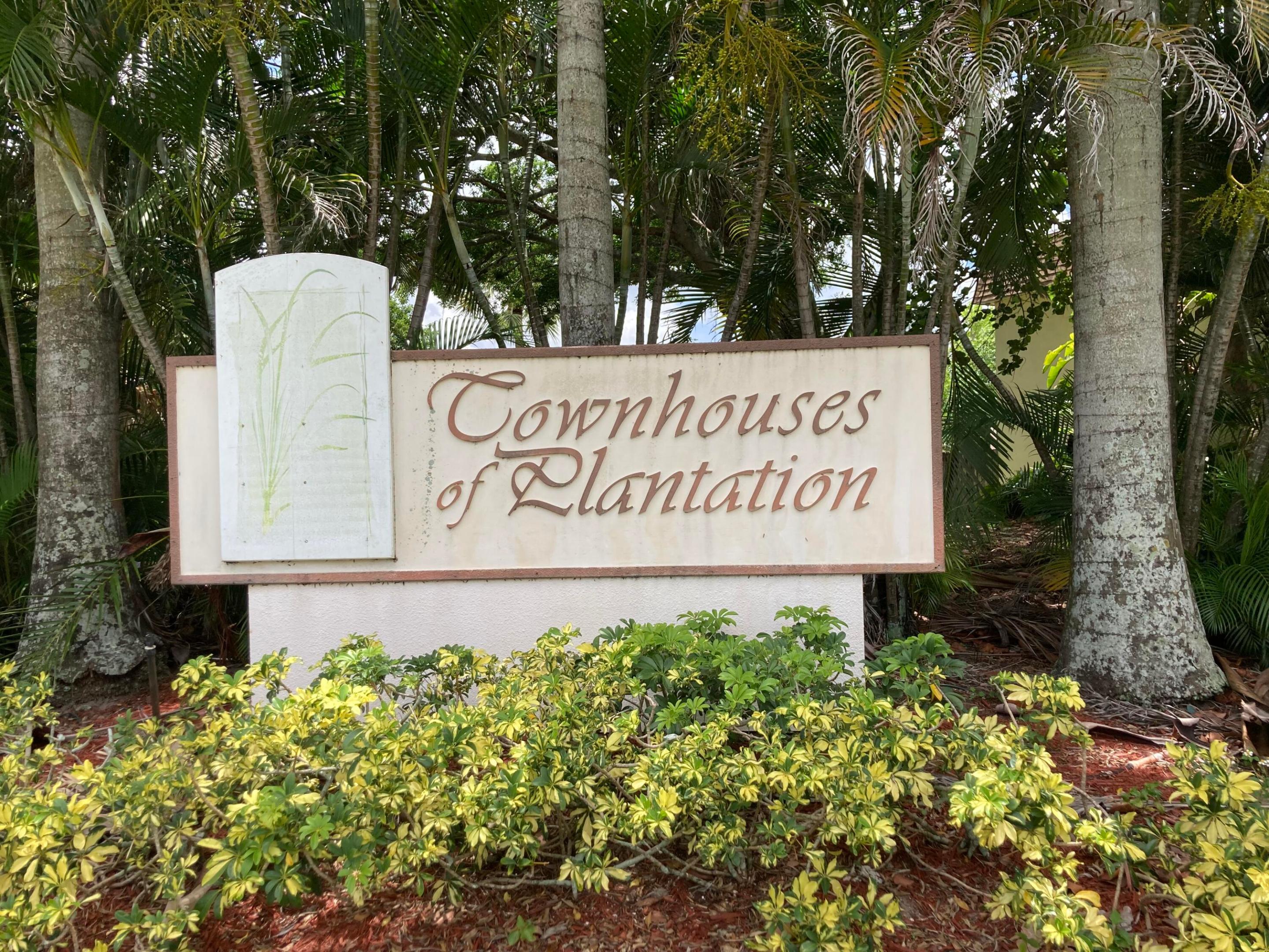 Plantation photo 1