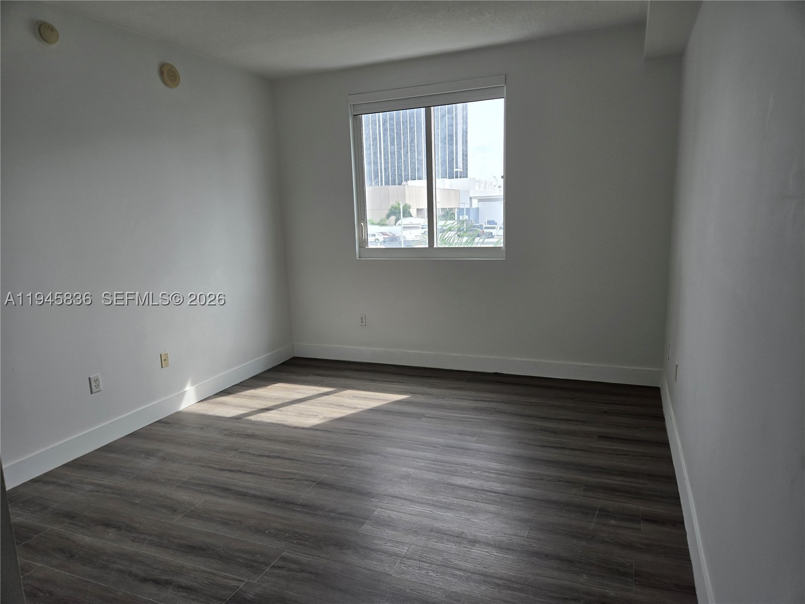 Miami photo 4