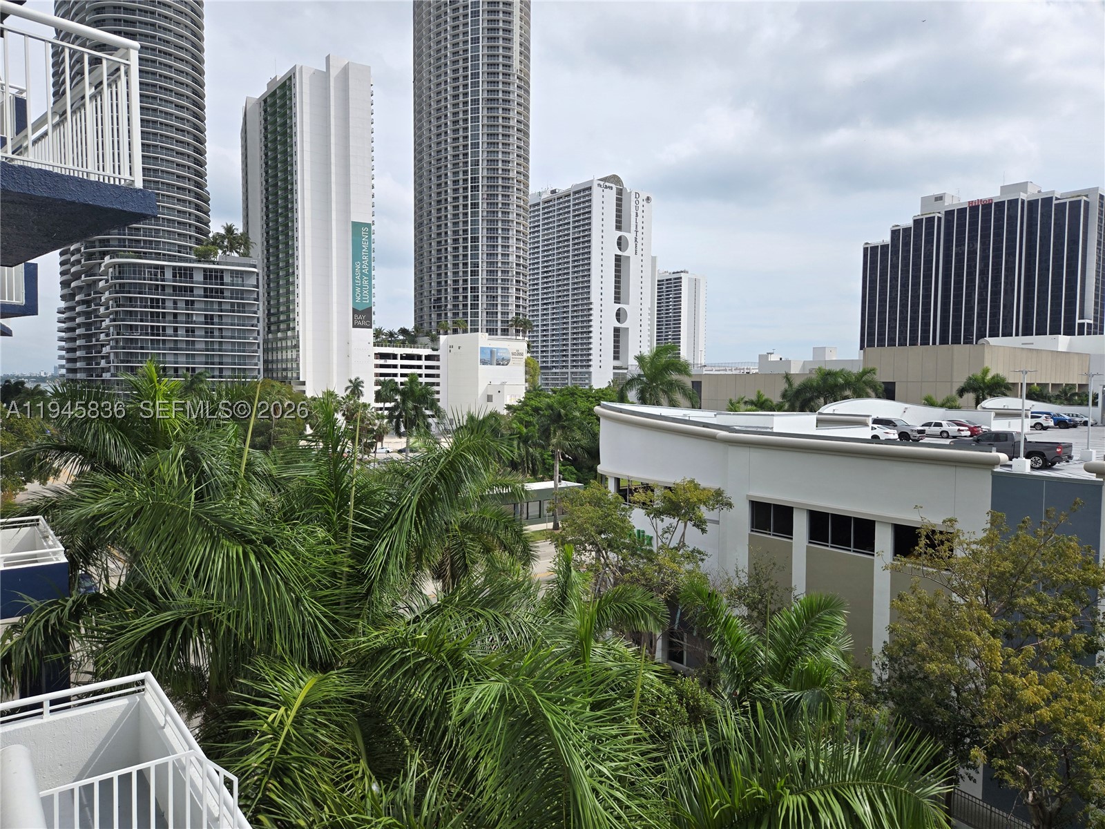 Miami photo 5