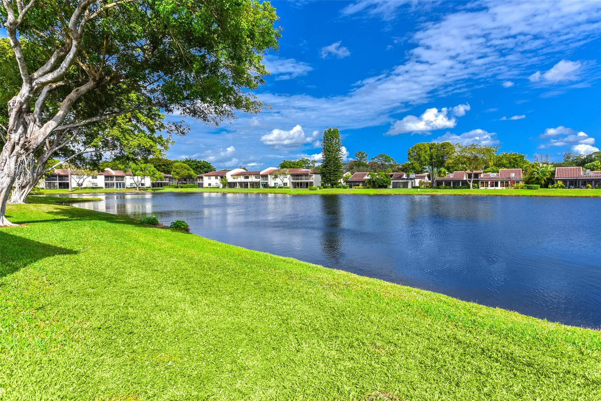 Boca Raton photo 4