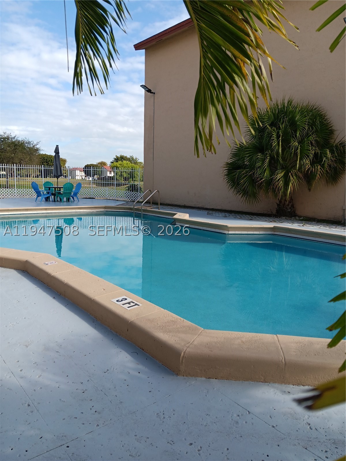 Miami photo 3