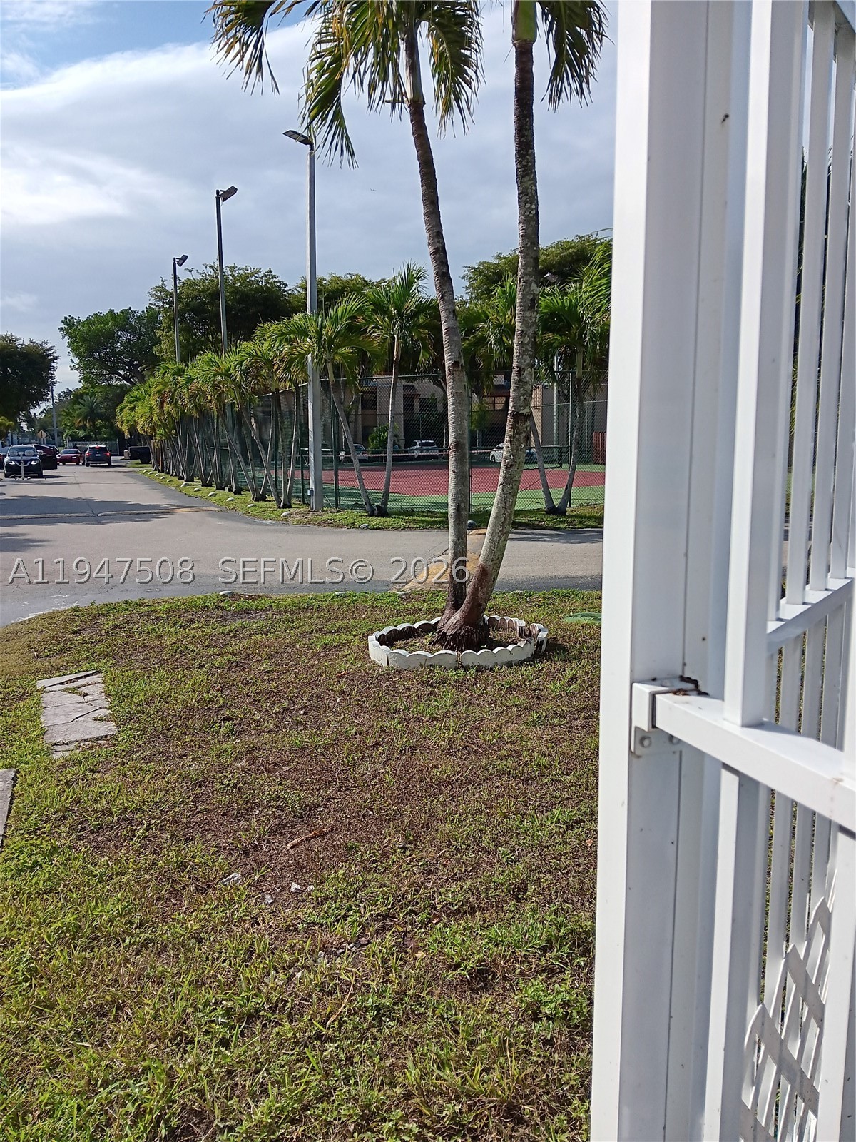 Miami photo 5