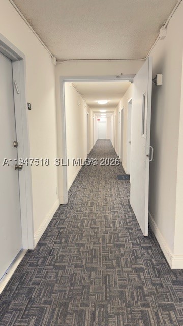 North Miami Beach photo 5