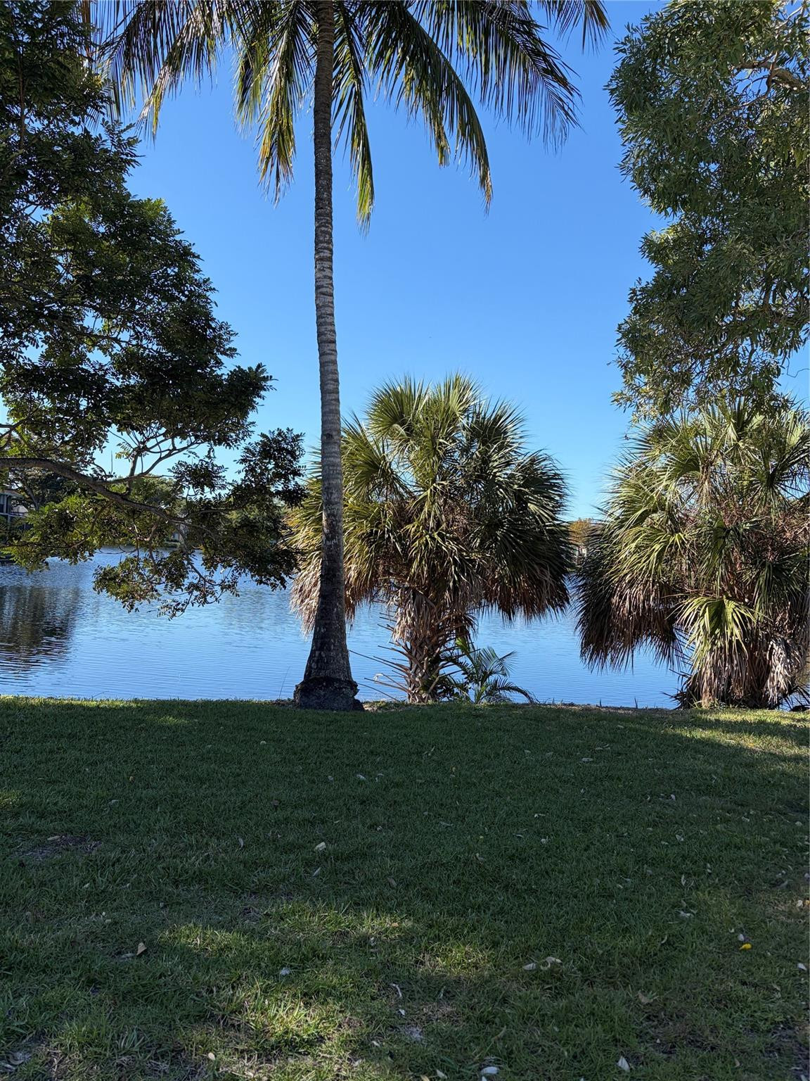 Plantation photo 3