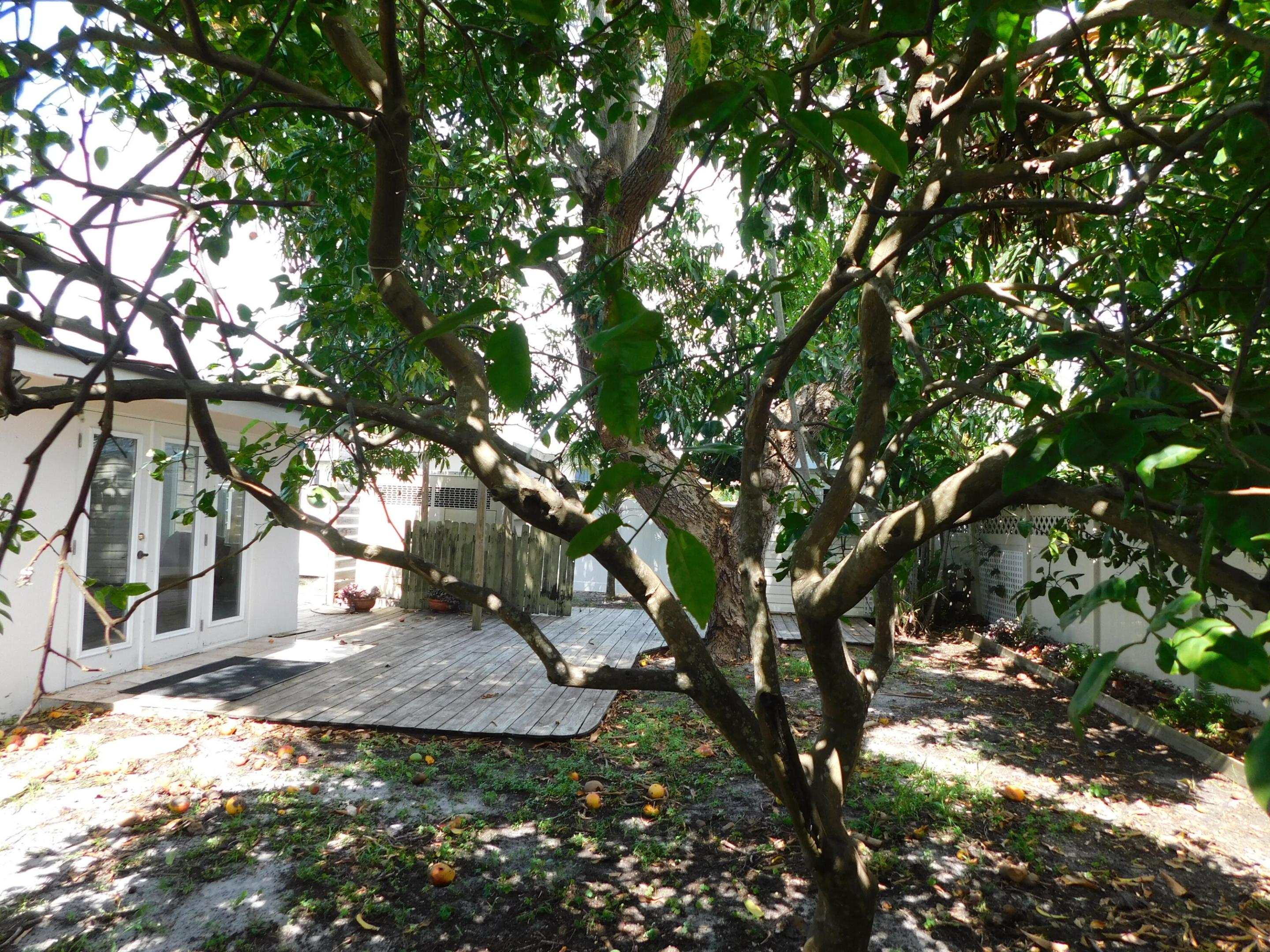 Pompano Beach photo 2
