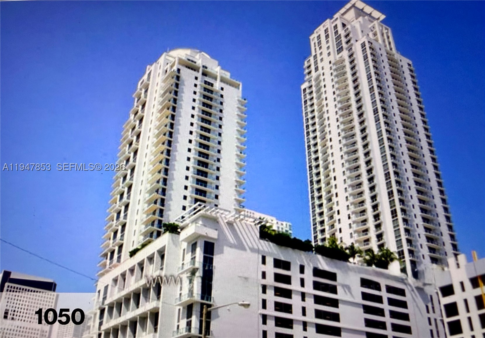 Miami photo 1