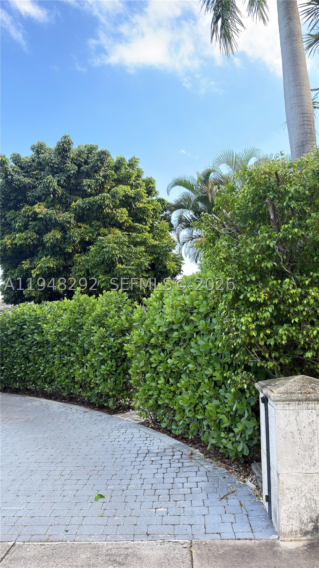 North Miami photo 2