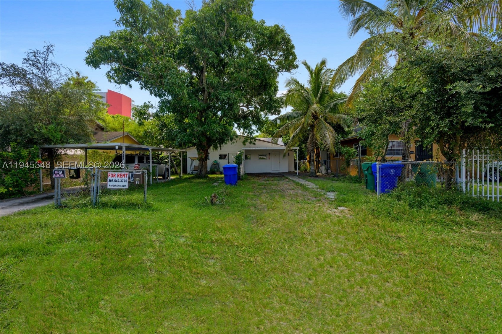 Miami photo 5
