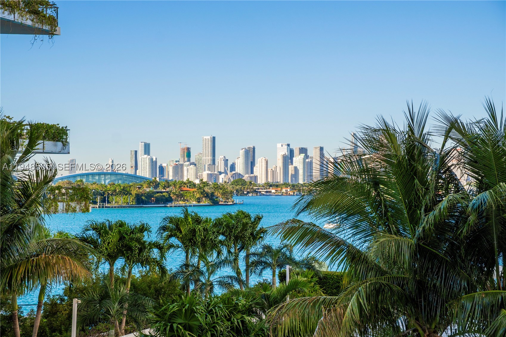 Miami Beach photo 2