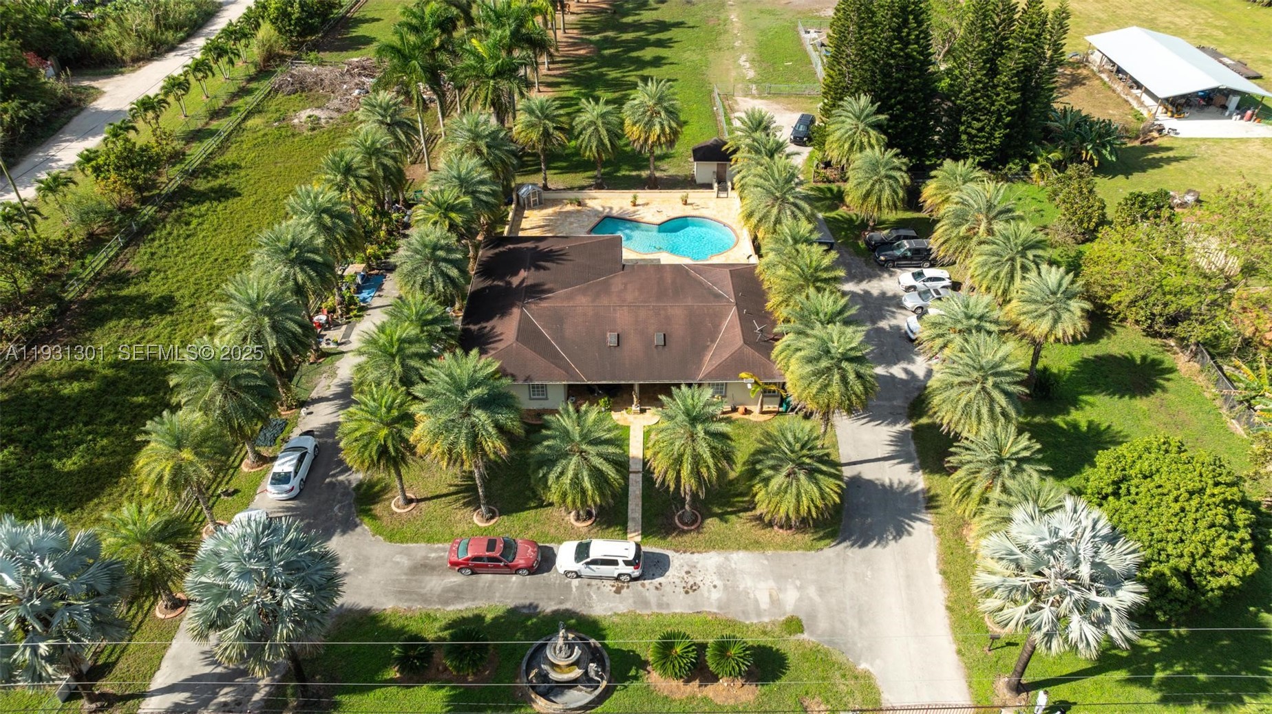 Miami photo 4