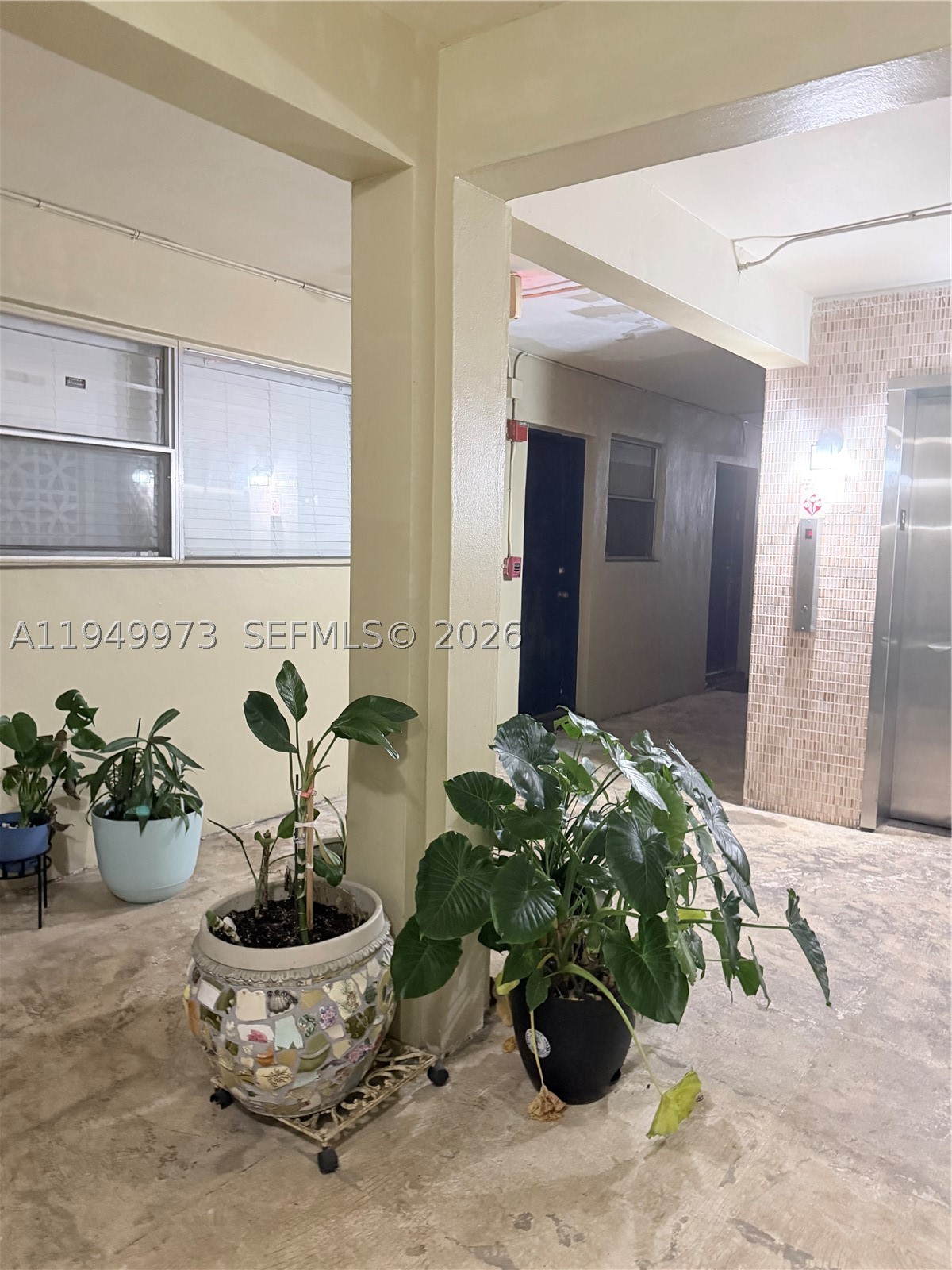 North Miami photo 4