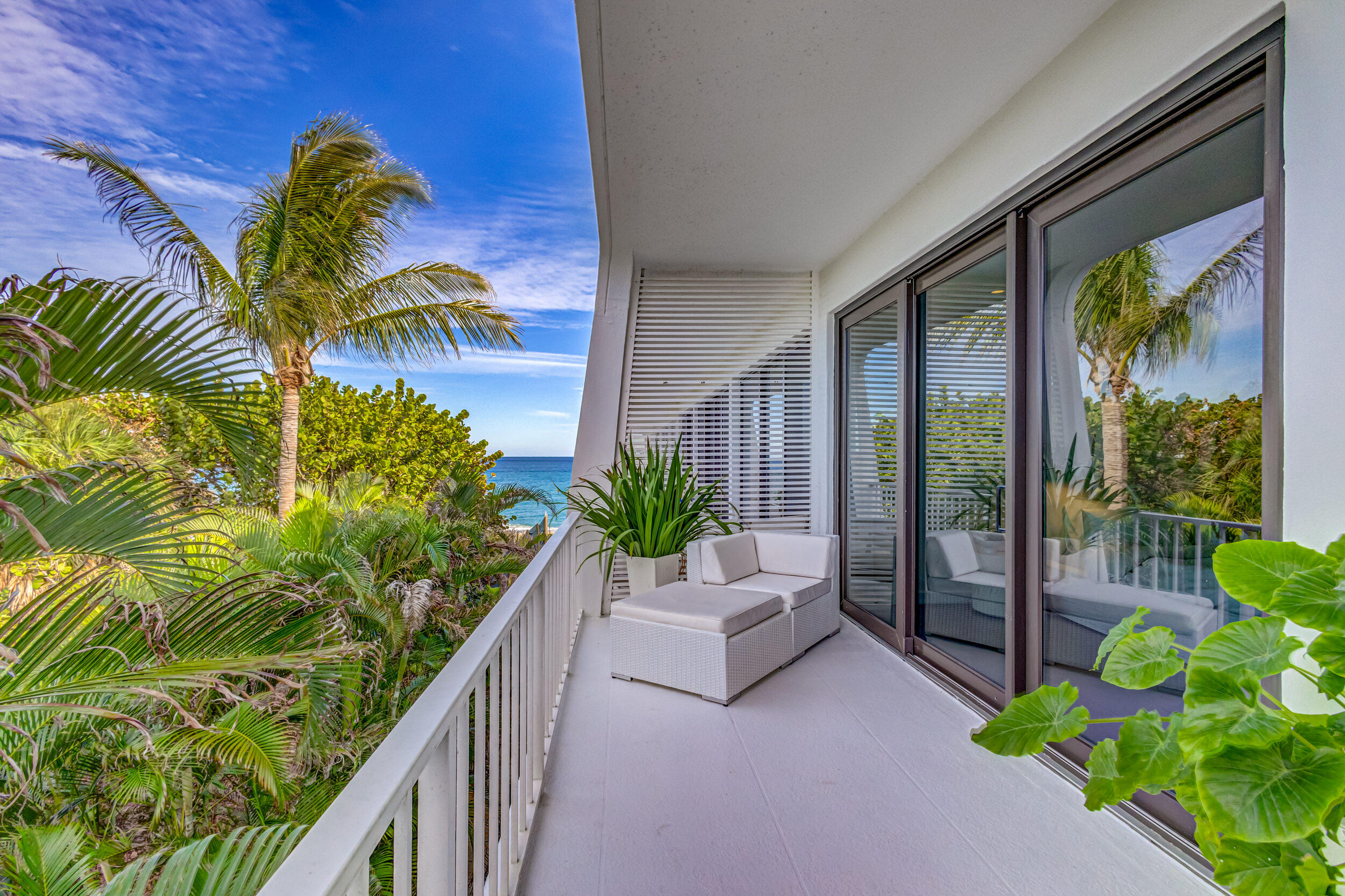 Palm Beach photo 5