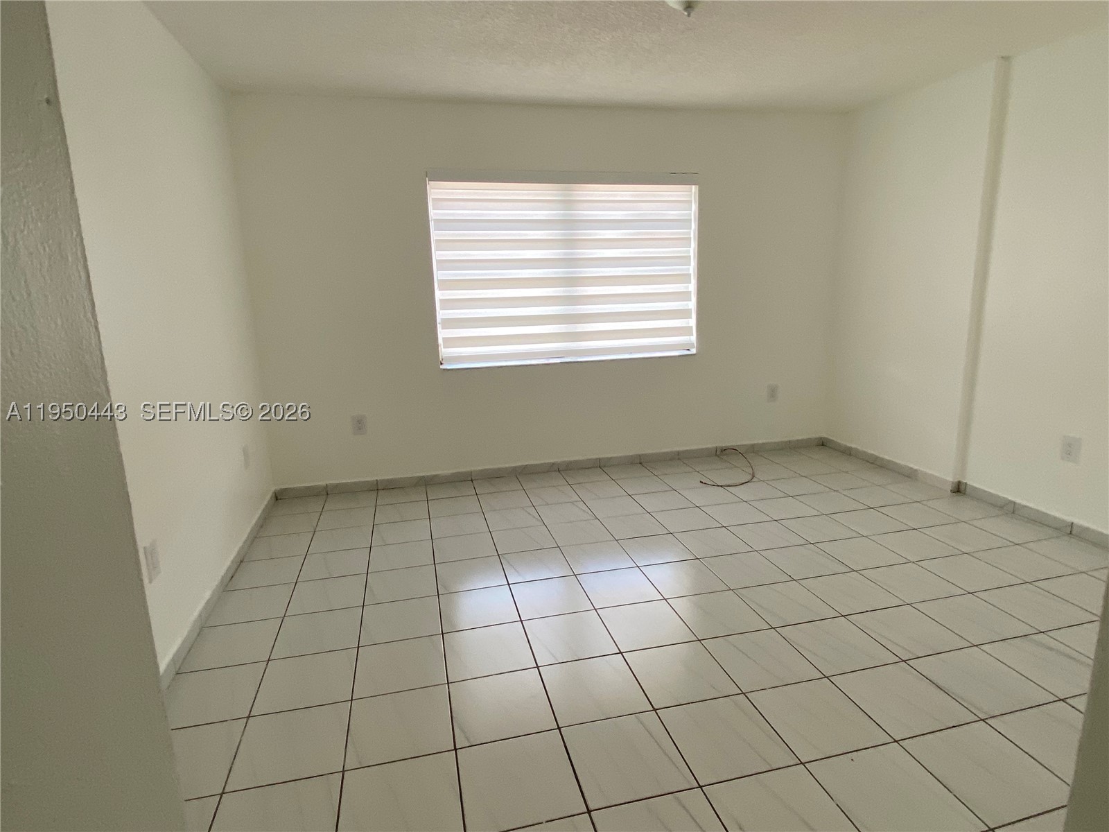Miami photo 3
