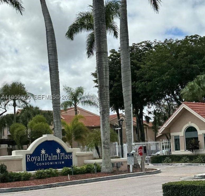 Miami photo 2