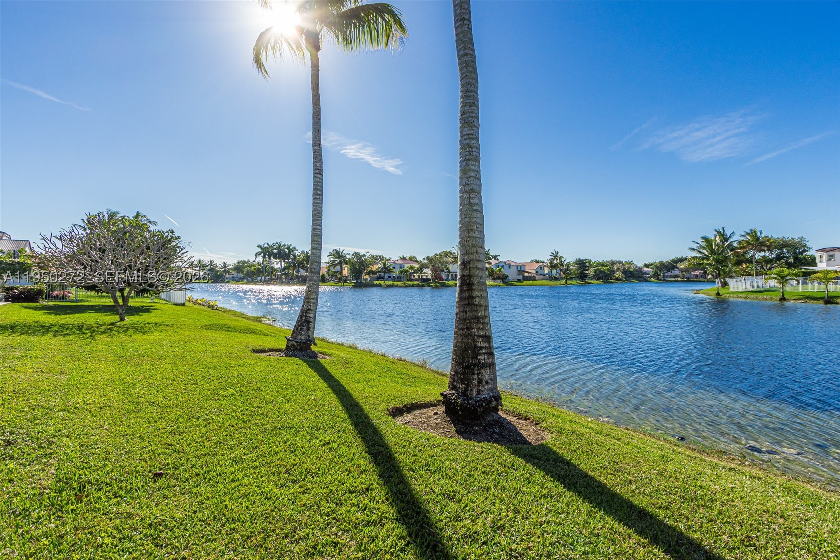 Pembroke Pines photo 3