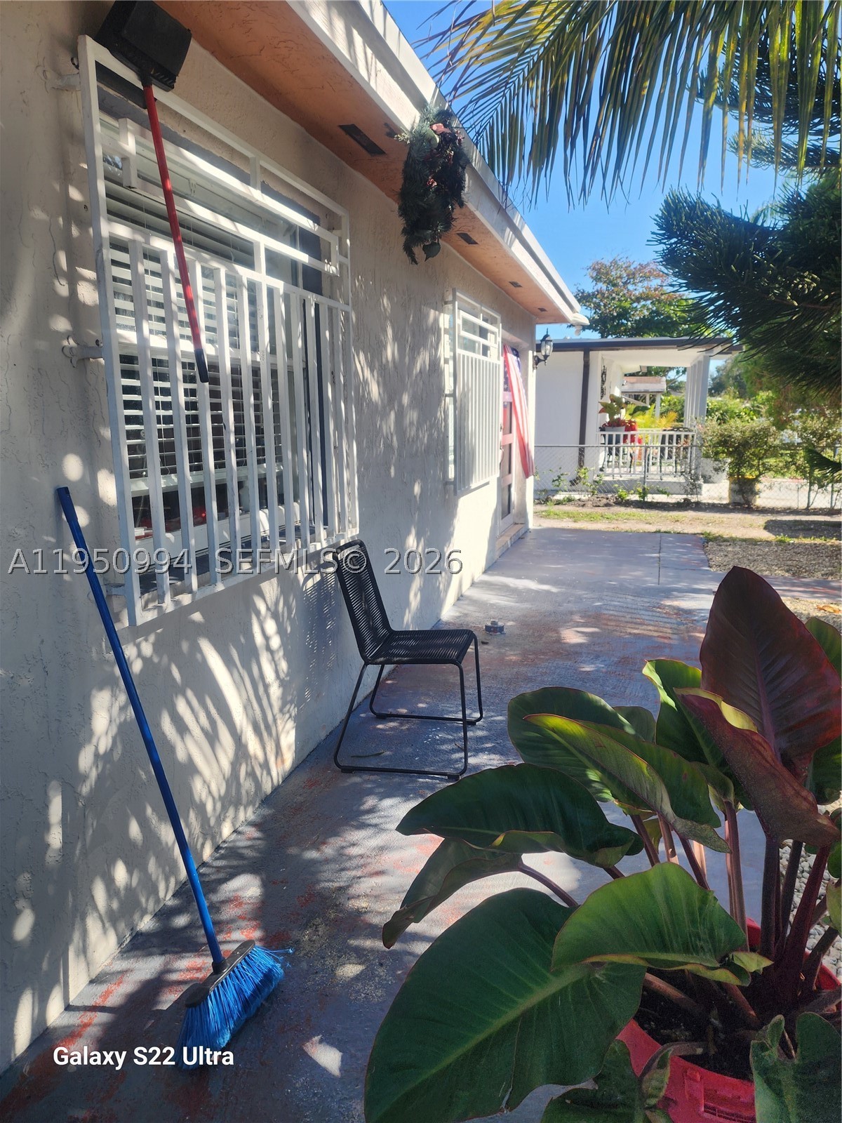 Miami photo 4