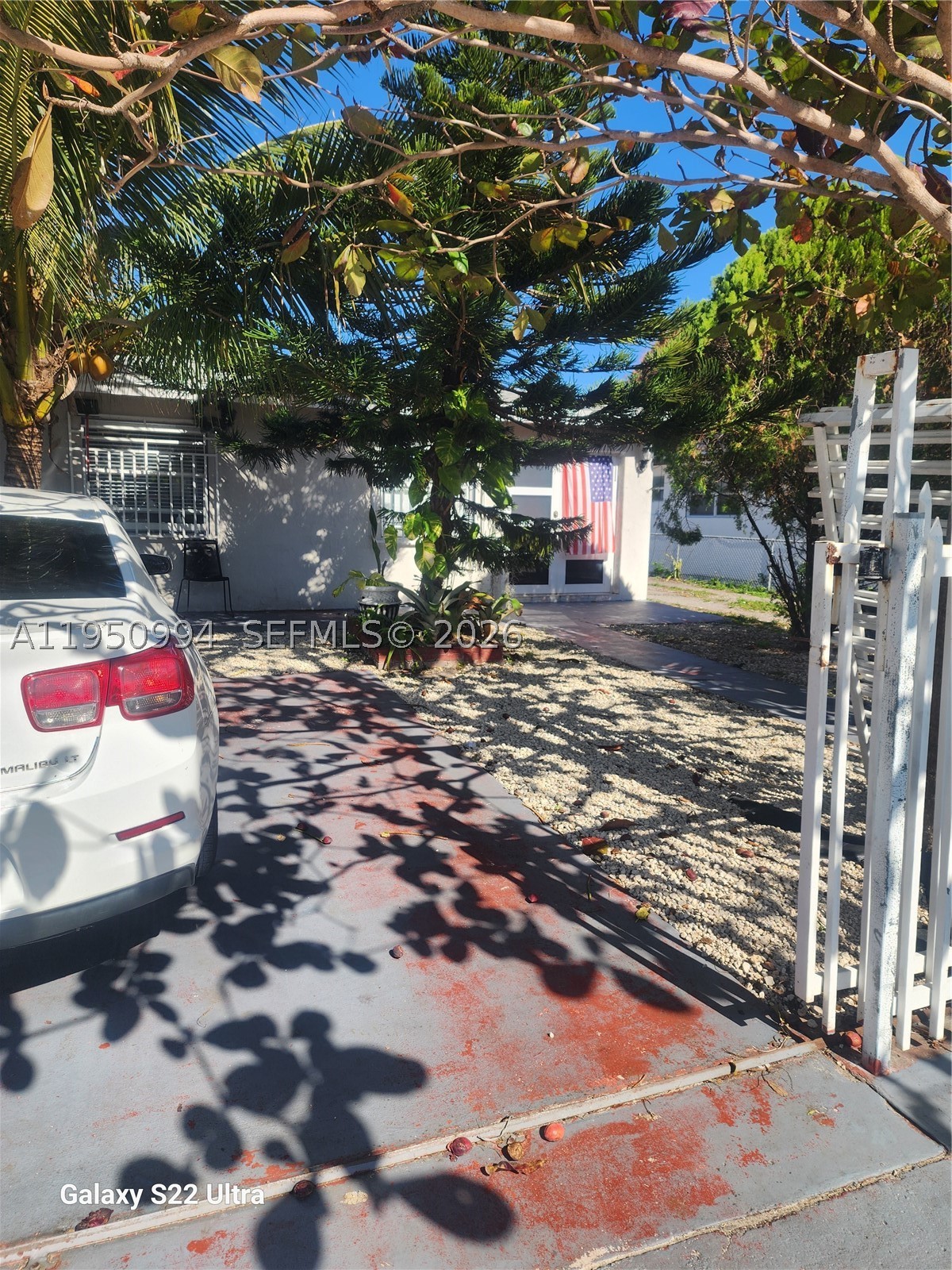 Miami photo 5