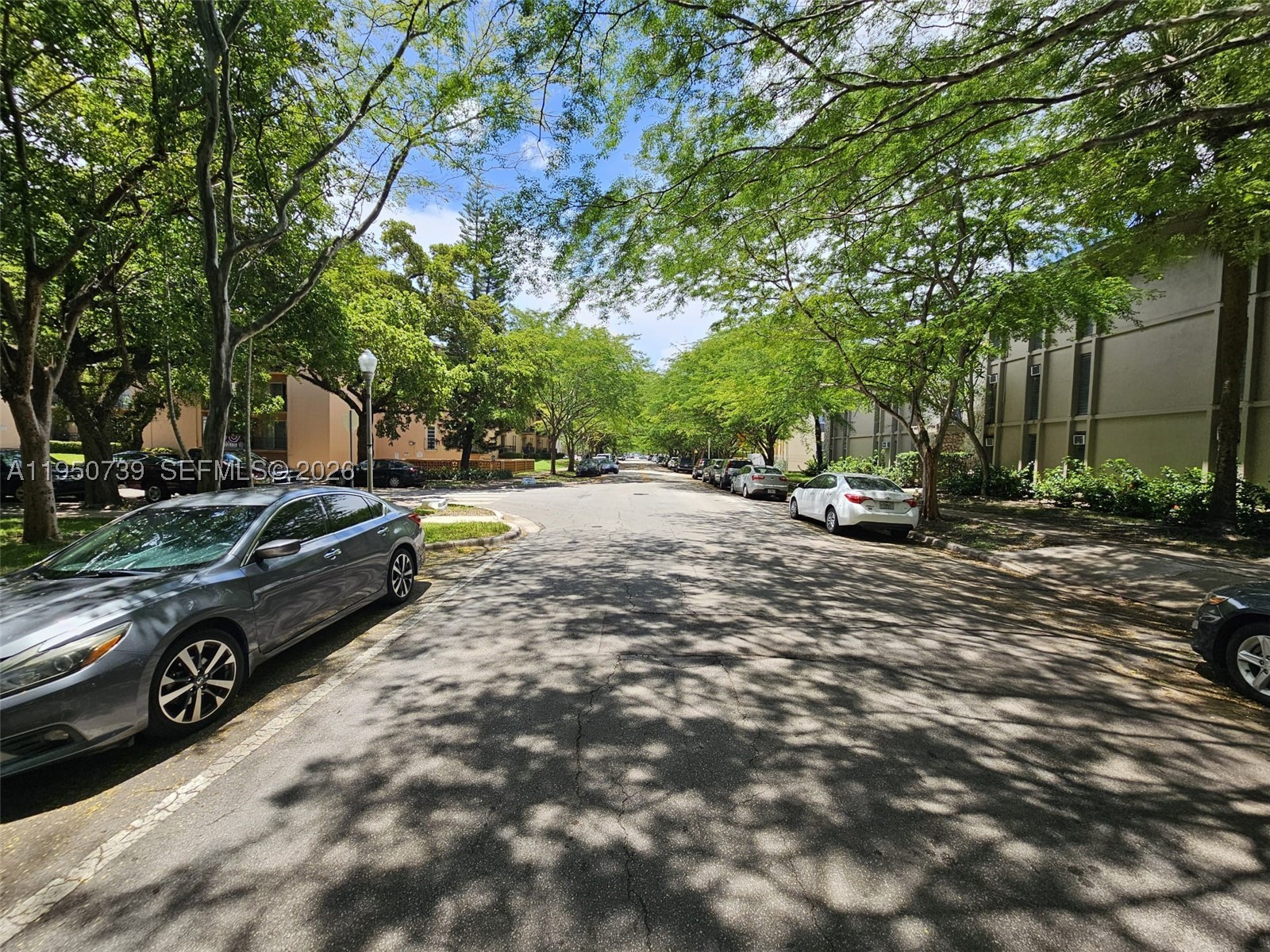 Coral Gables photo 3