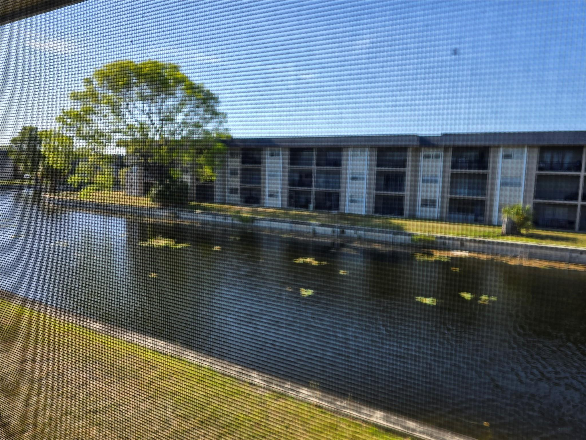 Fort Lauderdale photo 5