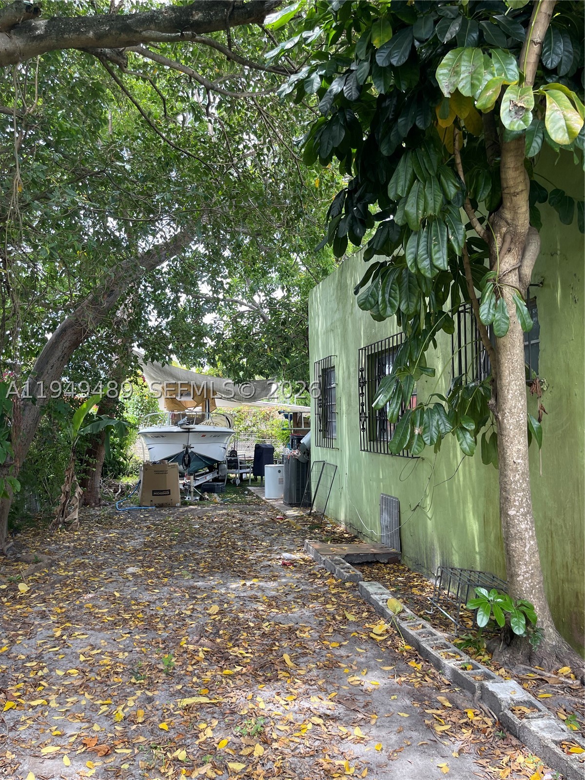 Miami photo 3