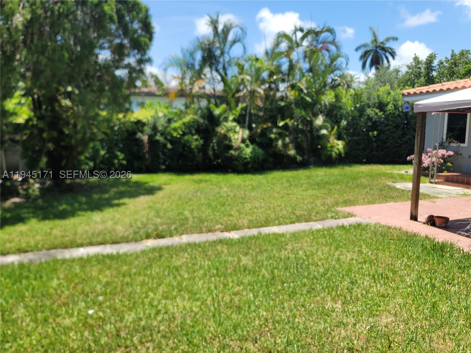 Miami Beach photo 5