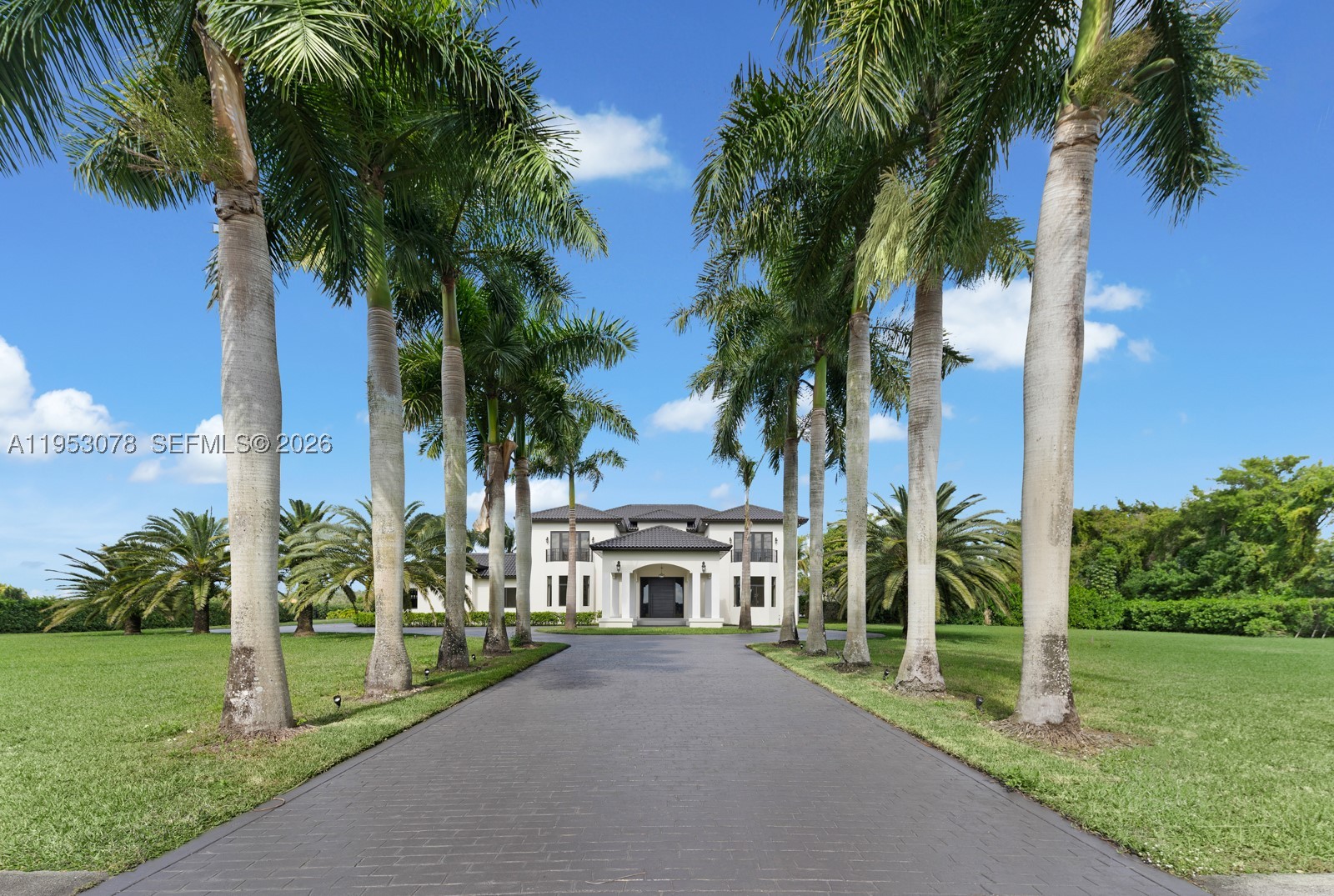 Miami photo 2
