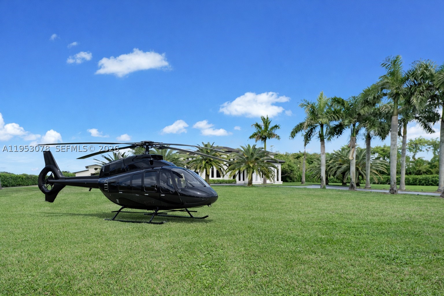 Miami photo 5