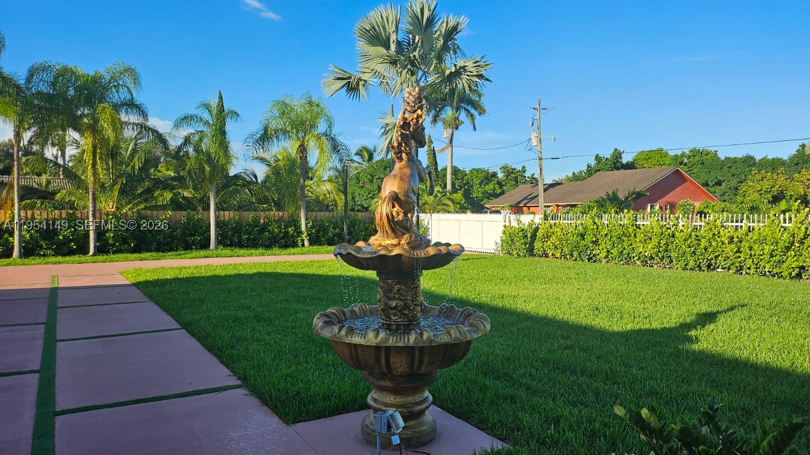 Miami photo 5