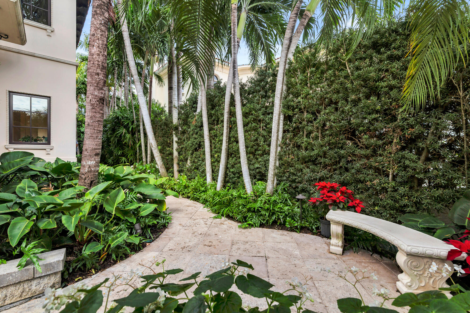 Palm Beach photo 3