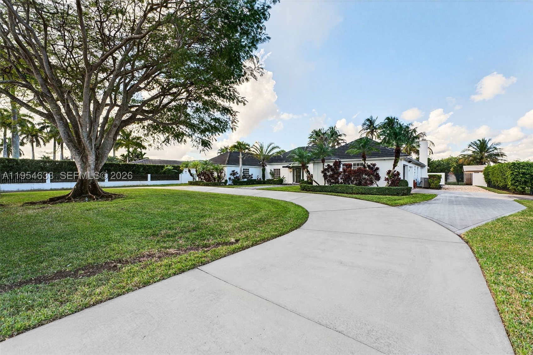 Miami photo 3