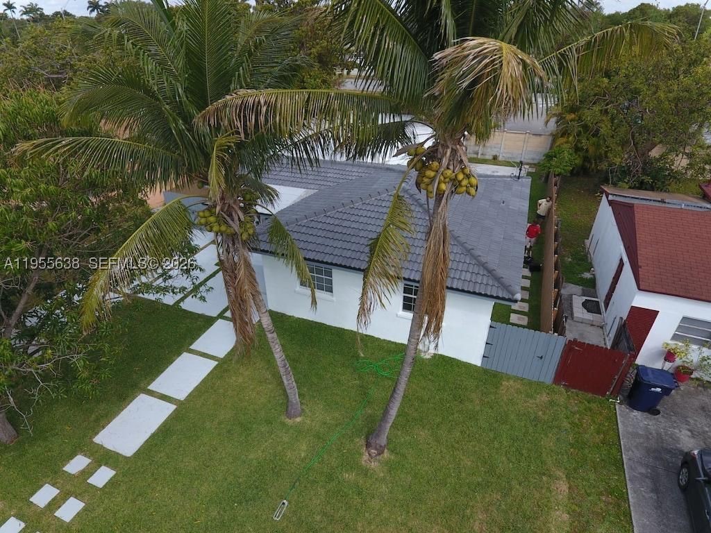 Miami photo 1