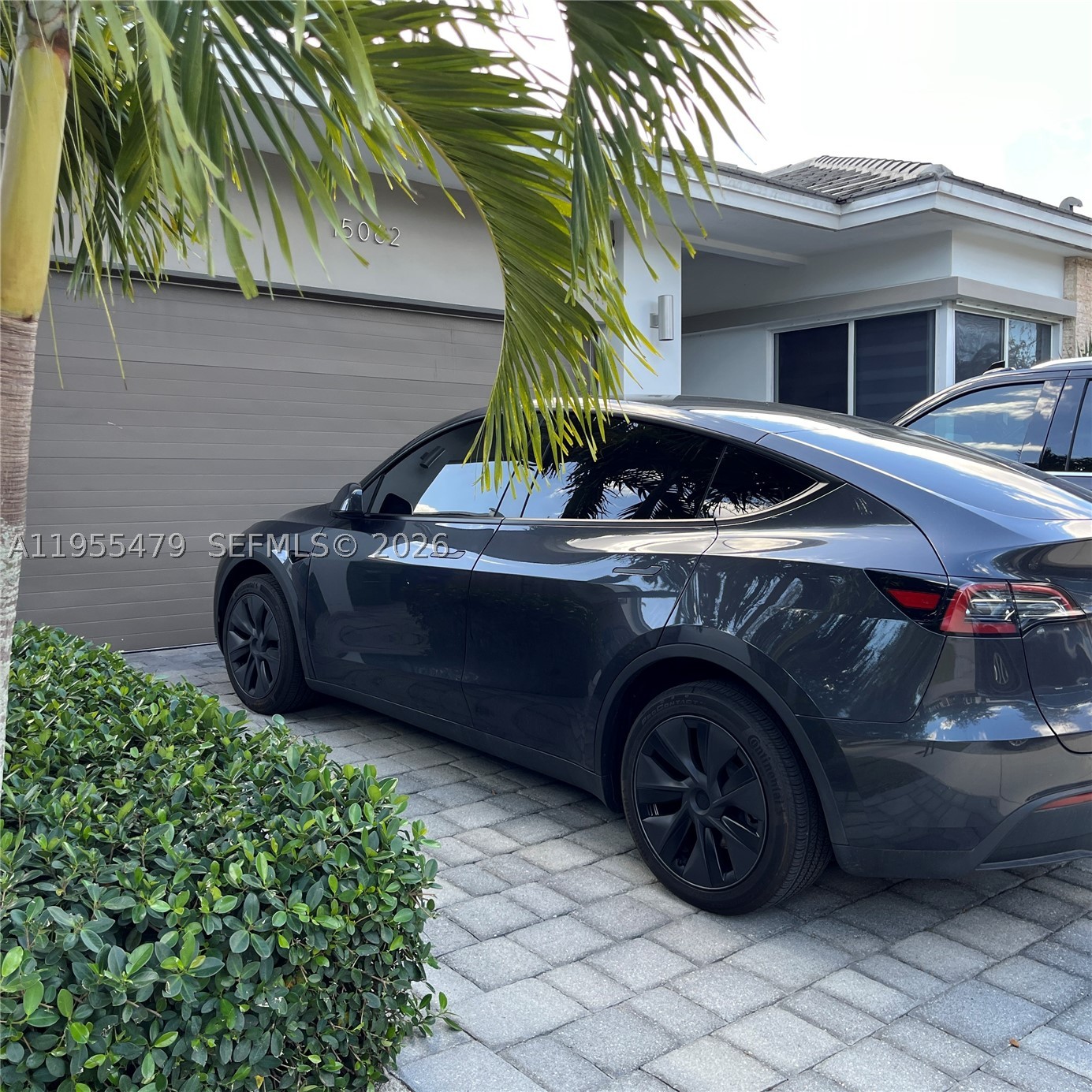Miami photo 3