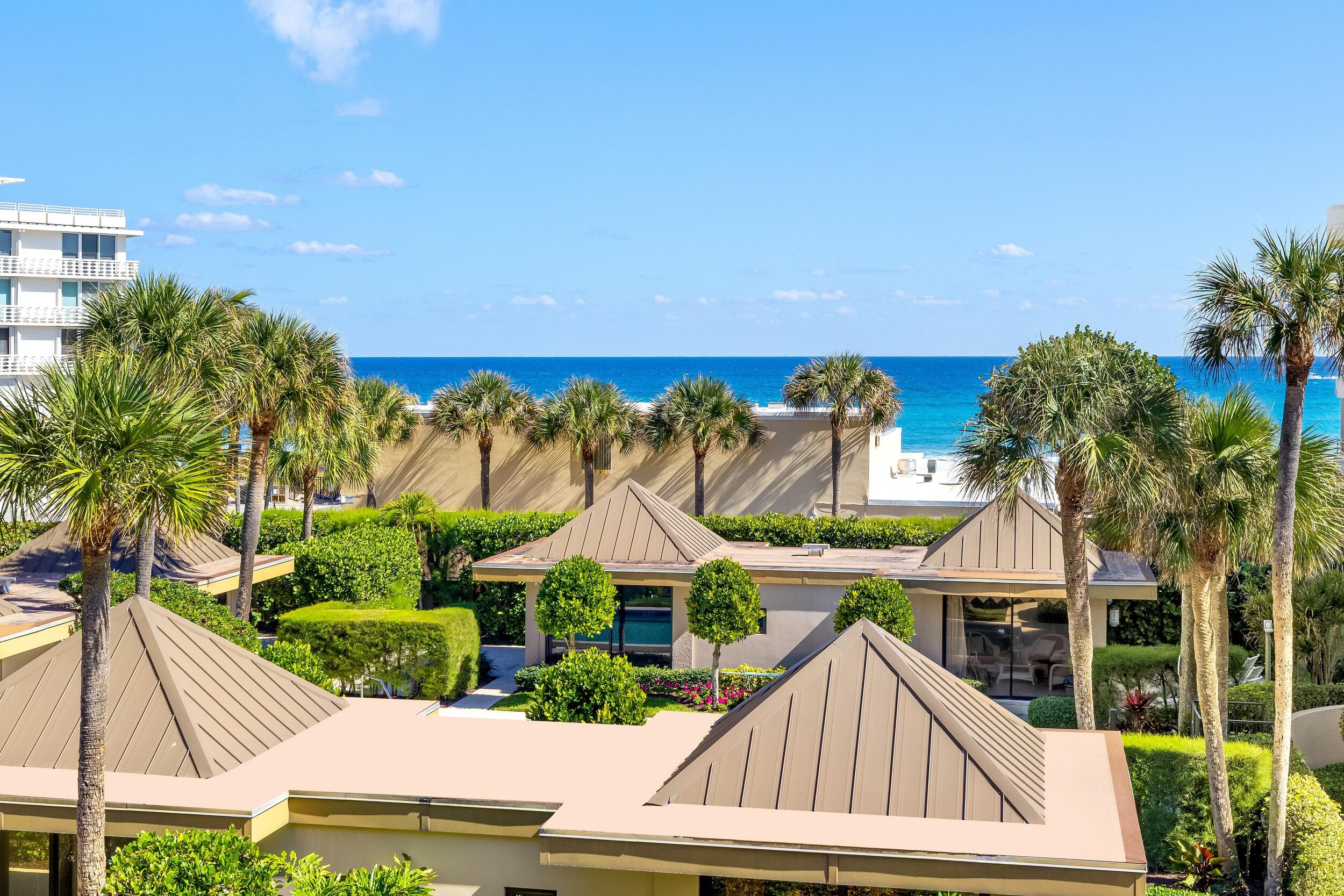 Palm Beach photo 3