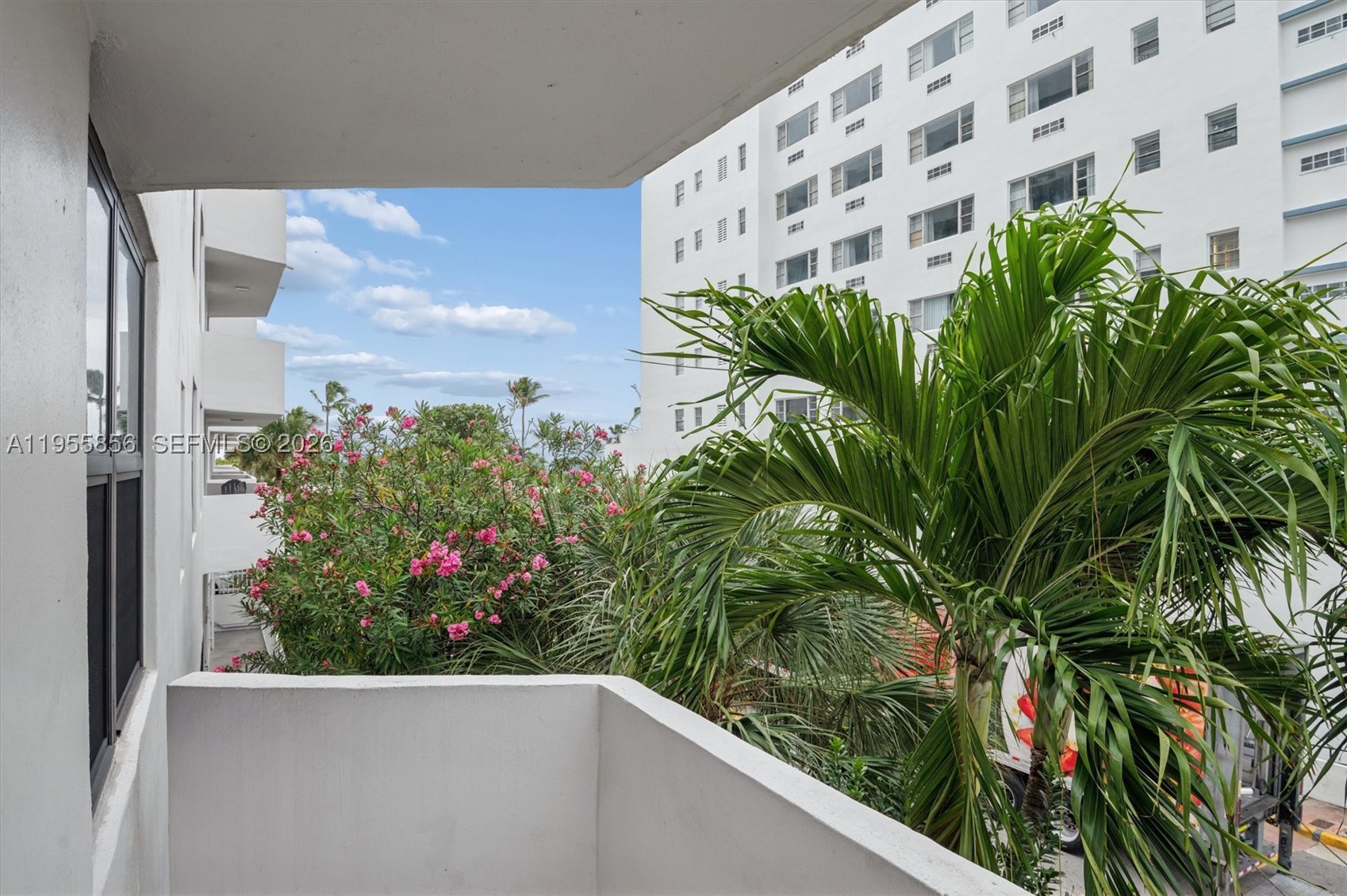 Miami Beach photo 2