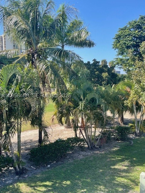 Aventura photo 3