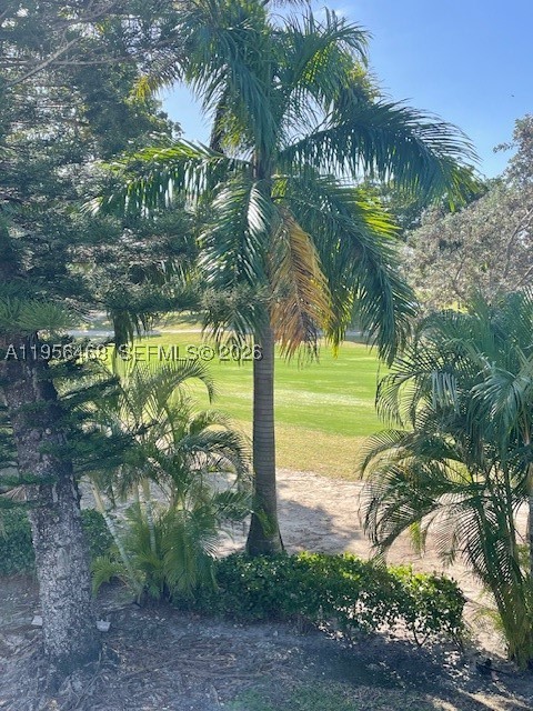 Aventura photo 4
