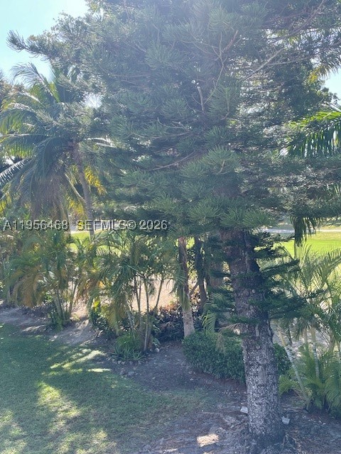 Aventura photo 5