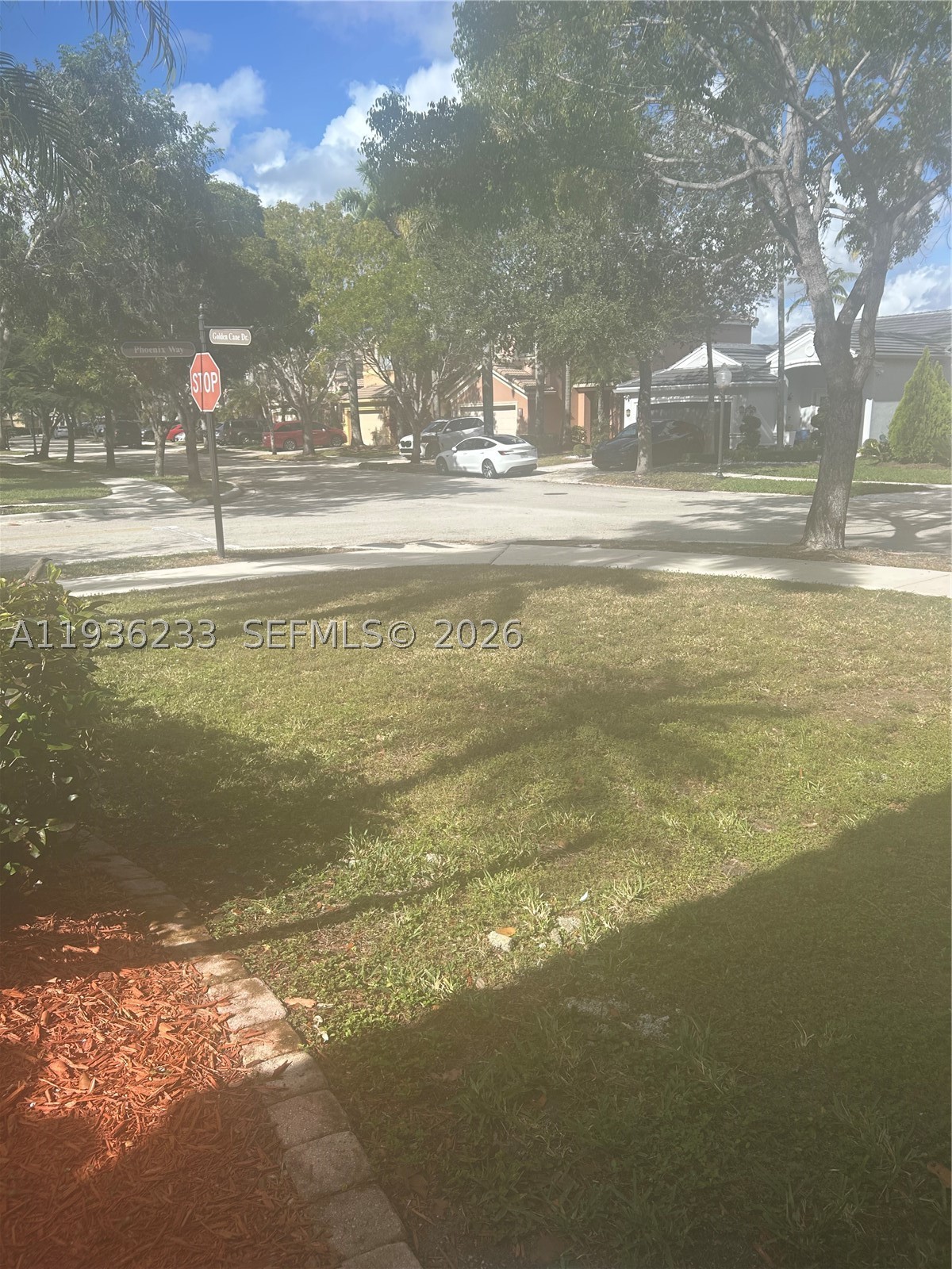 Weston photo 4