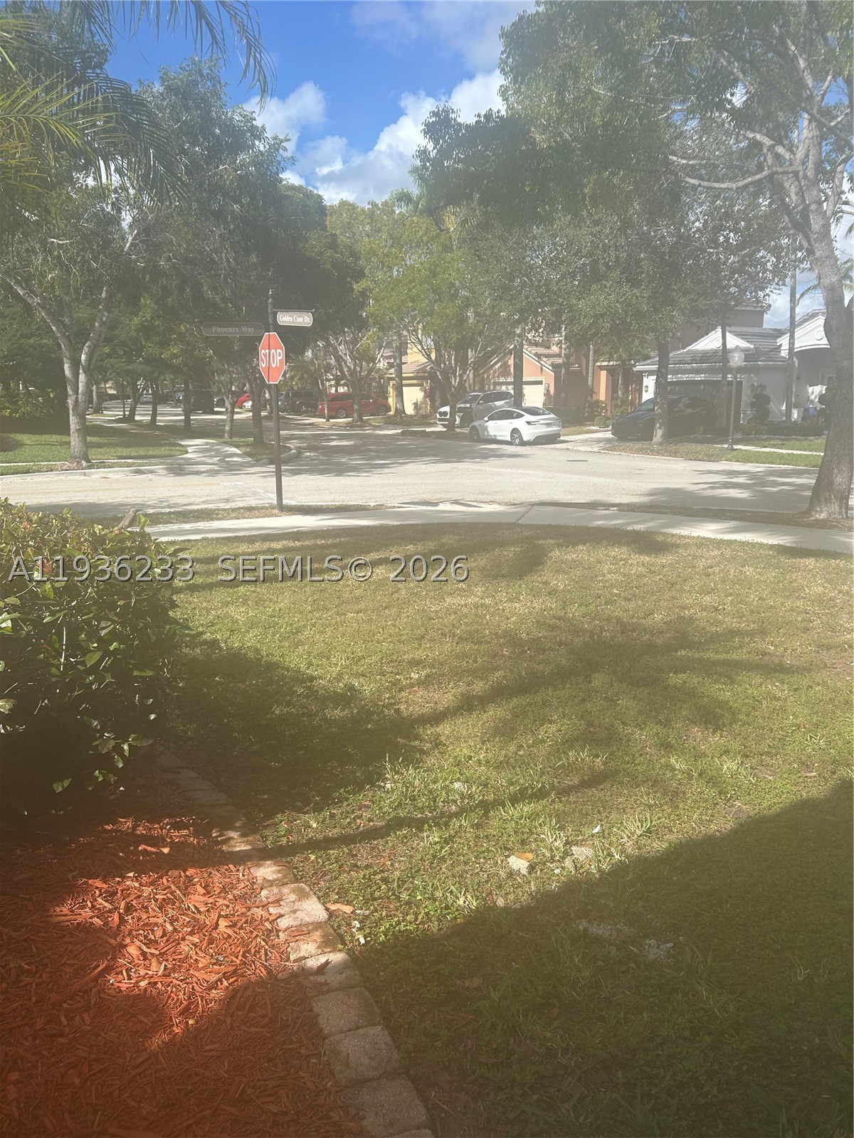 Weston photo 5