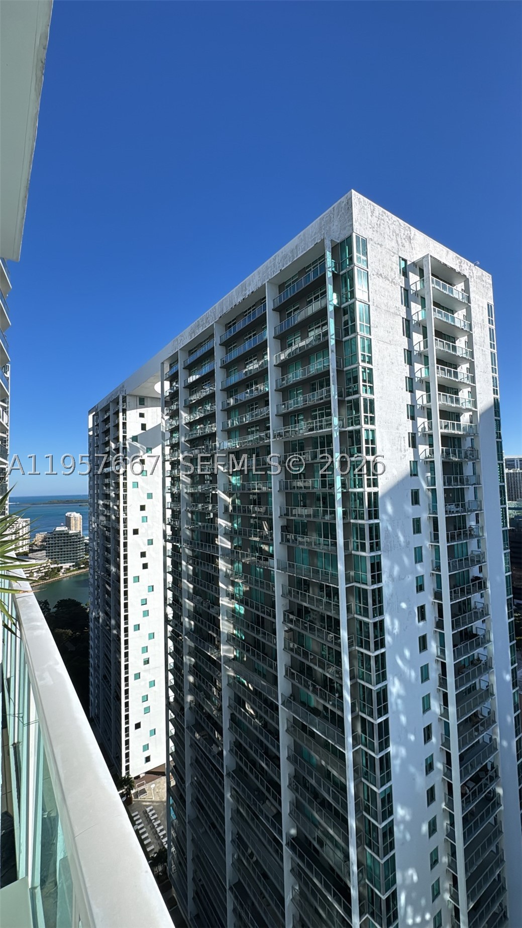 Miami photo 4