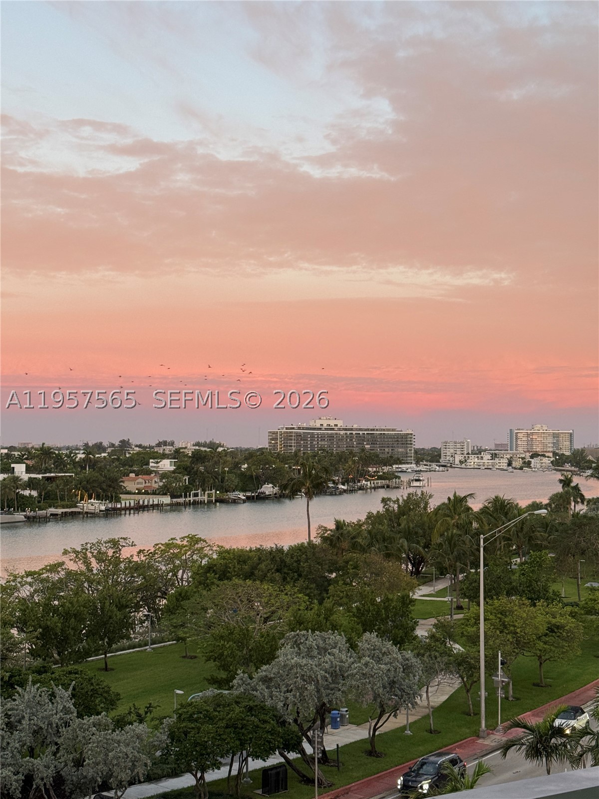Miami Beach photo 4