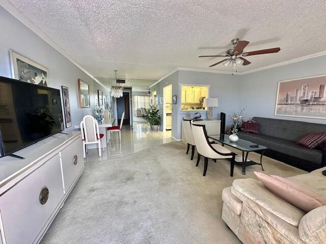 Boca Raton photo 4