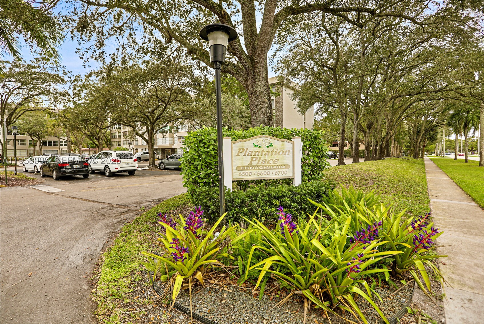 Plantation photo 4