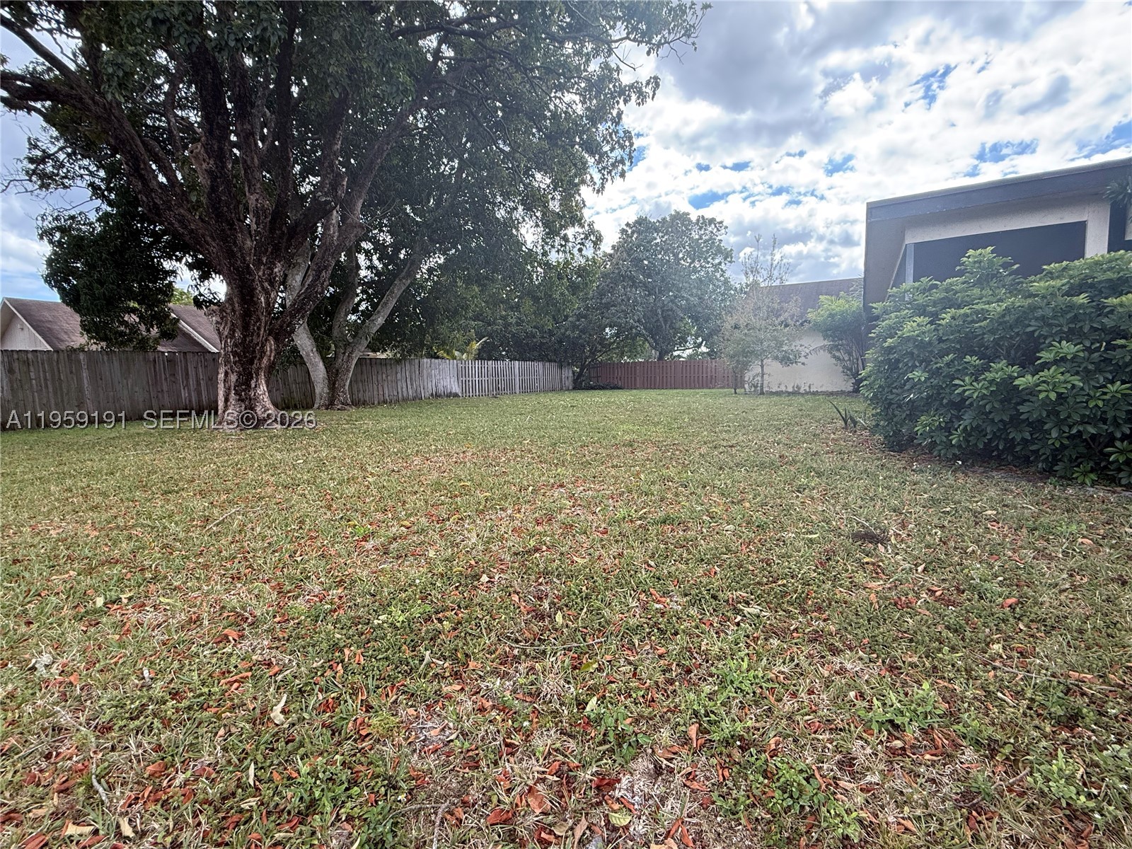 Plantation photo 5