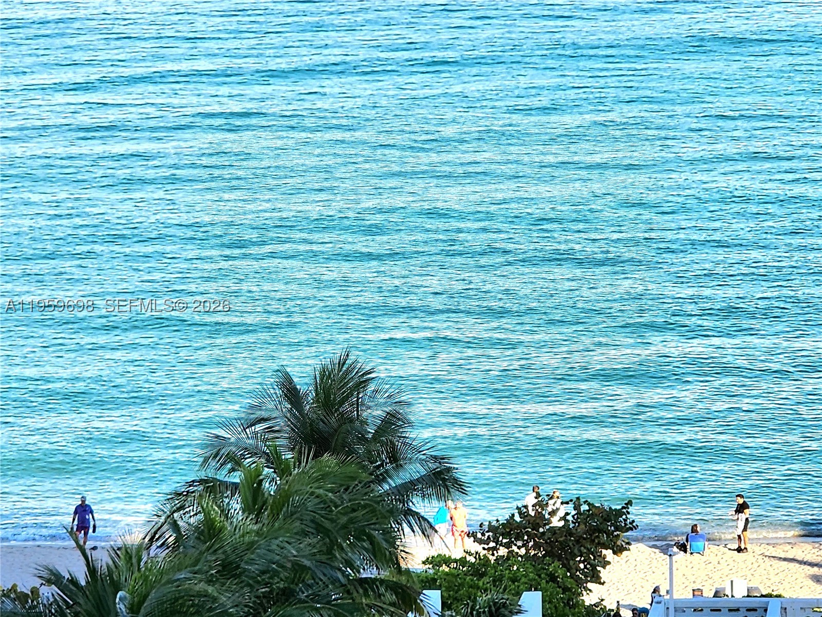 Hallandale Beach photo 4